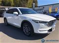 2019 Mazda CX-8