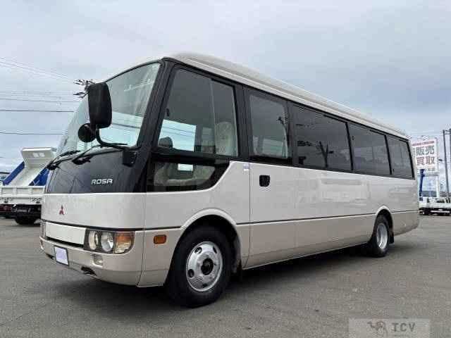 2003 Mitsubishi Rosa