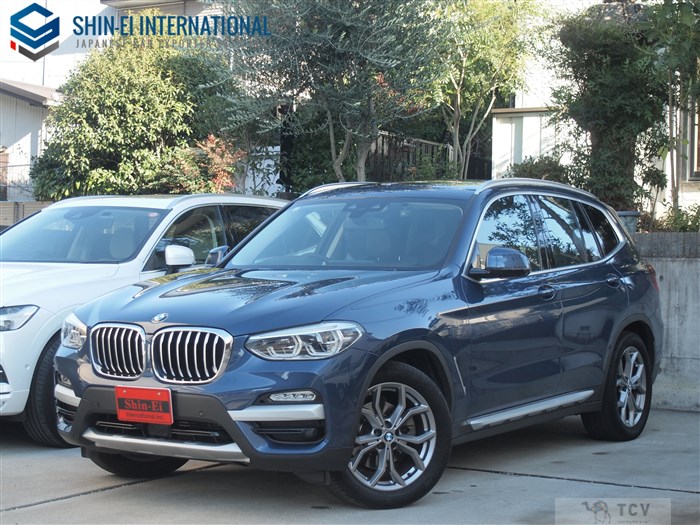 2019 BMW X3