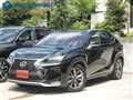 2014 Lexus NX