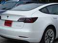 2022 Tesla Motors Others