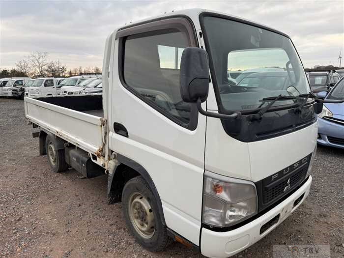 2008 Mitsubishi Fuso Canter Guts