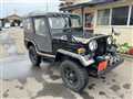 1989 Mitsubishi Jeep