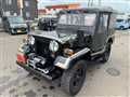 1989 Mitsubishi Jeep