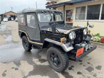 1989 Mitsubishi Jeep