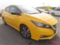 2019 Nissan Leaf