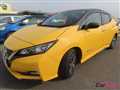 2019 Nissan Leaf