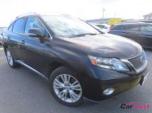 2009 Lexus RX