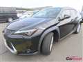 2021 Lexus UX