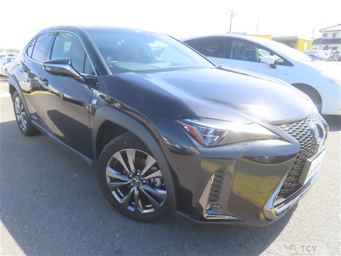 2019 Lexus UX