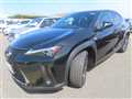 2019 Lexus UX