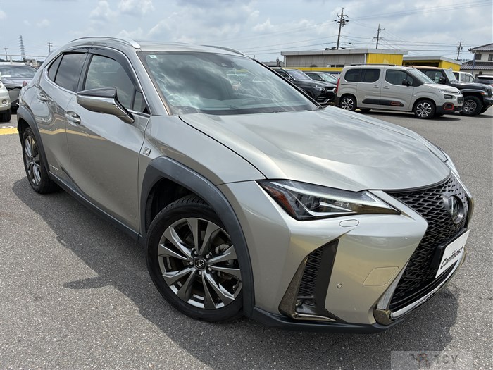 2019 Lexus UX