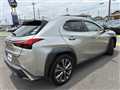 2019 Lexus UX