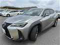 2019 Lexus UX