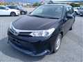 2019 Toyota Corolla Fielder