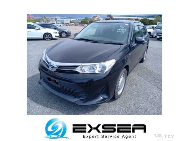 2019 Toyota Corolla Fielder