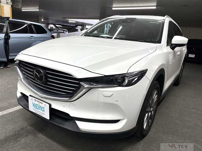 2019 Mazda CX-8