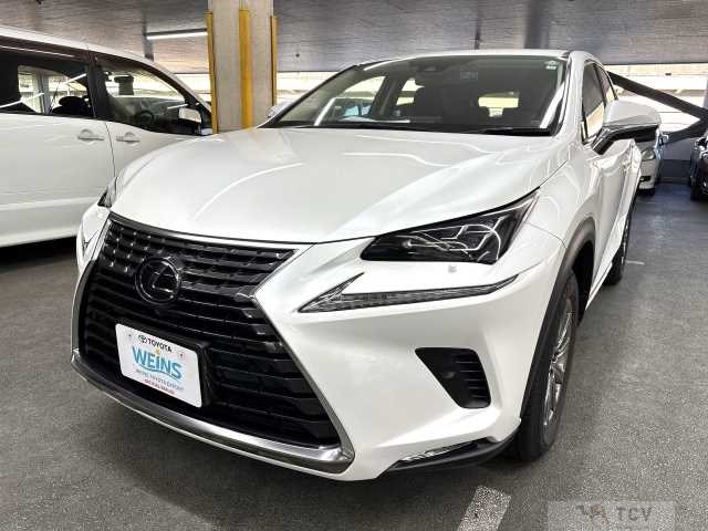 2020 Lexus NX