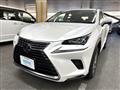 2020 Lexus NX