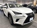 2020 Lexus NX