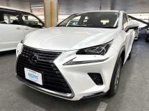 2020 Lexus NX