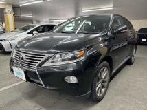 2013 Lexus RX
