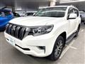 2019 Toyota Land Cruiser Prado