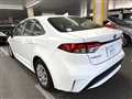 2019 Toyota Corolla Sedan