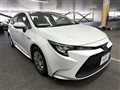 2019 Toyota Corolla Sedan