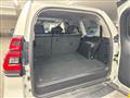 2019 Toyota Land Cruiser Prado