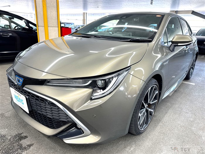 2019 Toyota Corolla Sports