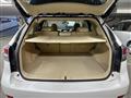 2013 Lexus RX