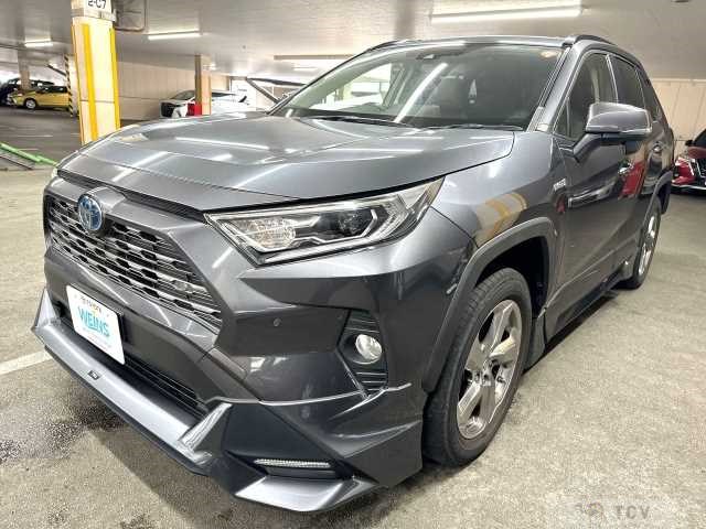 2019 Toyota RAV4