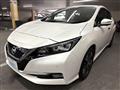 2018 Nissan Leaf