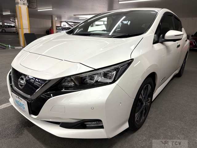 2018 Nissan Leaf