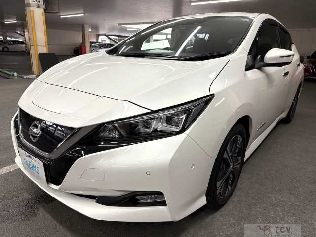 2018 Nissan Leaf