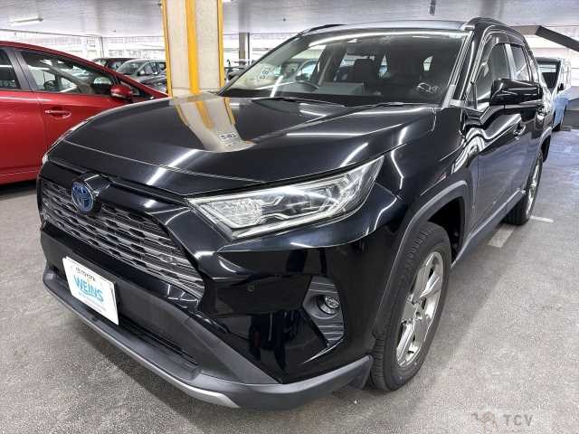 2019 Toyota RAV4