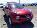 2010 Nissan Juke