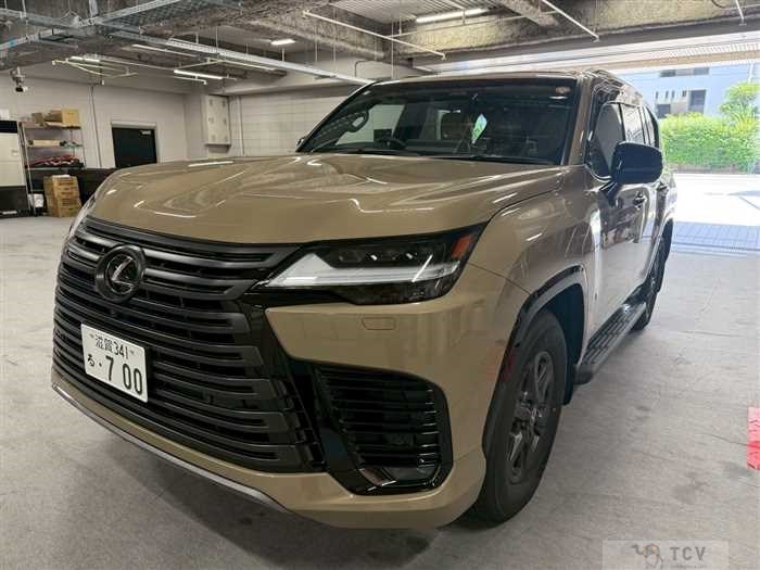 2025 Lexus LX