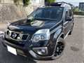 2013 Nissan X-Trail