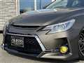 2010 Toyota Mark X