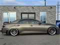 2010 Toyota Mark X