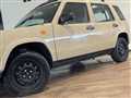 1995 Nissan Rasheen