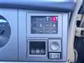1995 Nissan Rasheen