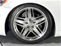 2010 Lexus LS