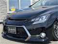 2010 Toyota Mark X