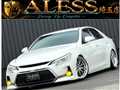 2010 Toyota Mark X