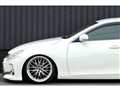 2010 Toyota Mark X