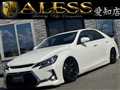 2010 Toyota Mark X