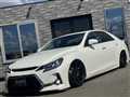 2010 Toyota Mark X